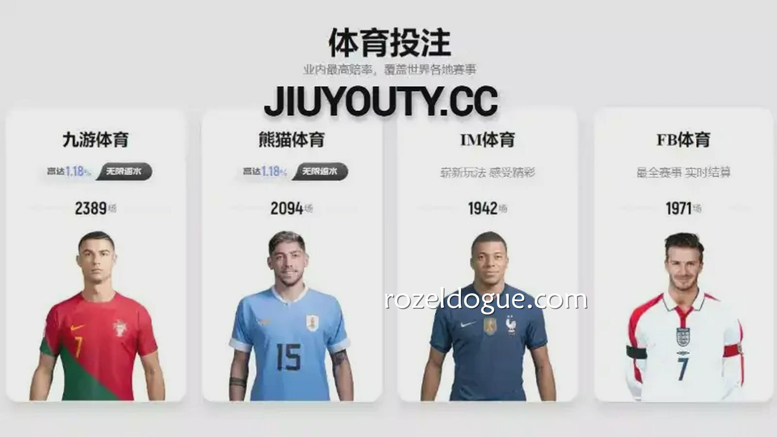 九游体育为玩家提供多个体育平台进行世界杯投注